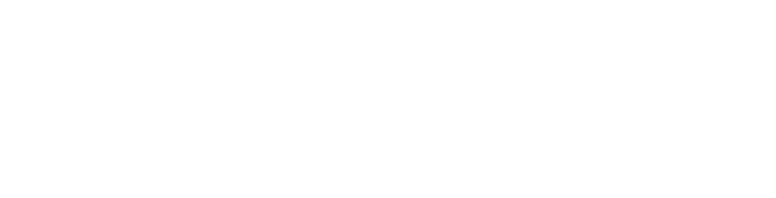 FENECON